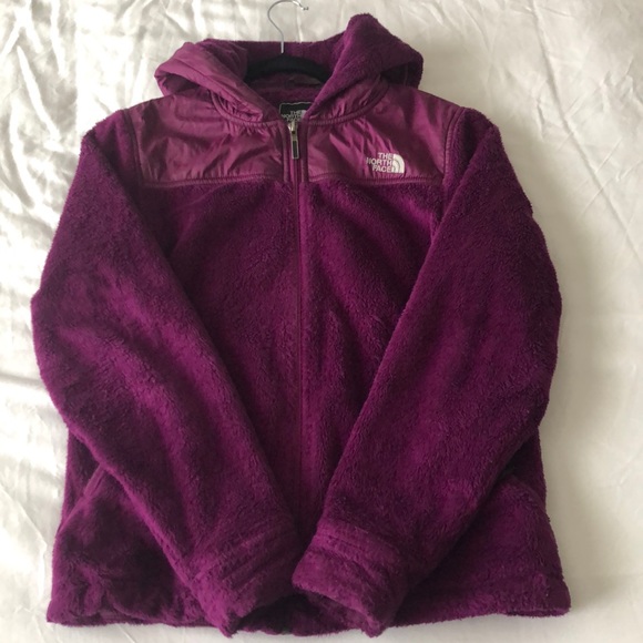 The North Face Jackets & Blazers - North Face Jacket